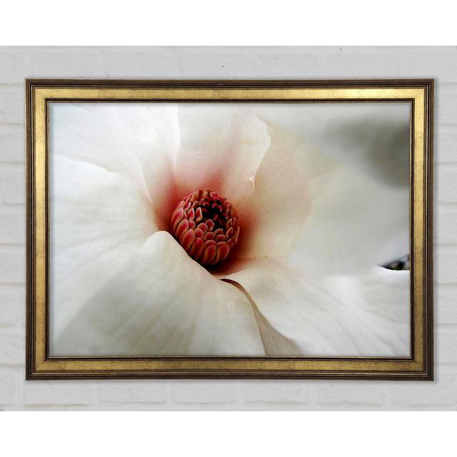 Soft Pink Centre - Single Picture Frame Art Prints 17 Stories Size: 59.7cm H x 84.1cm W x 1.5cm D on Productcaster.