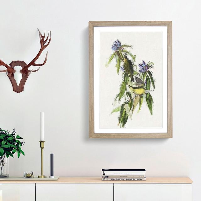 Connecticut Warbler Birds by John Audubon - Picture Frame Painting Print East Urban Home Frame Option: Oak Framed, Size: 48cm H x 36cm W x 2cm D on Productcaster.