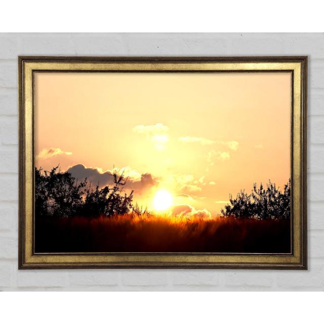 Golden Wheat Field At Sunset - Print Brayden Studio Size: 59.7cm H x 84.1cm W x 1.5cm D on Productcaster.