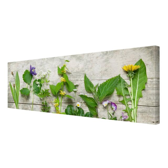 Medicinal and Wild Herbs - Wrapped Canvas Photograph Print East Urban Home Size: 60cm L x 180cm W on Productcaster.