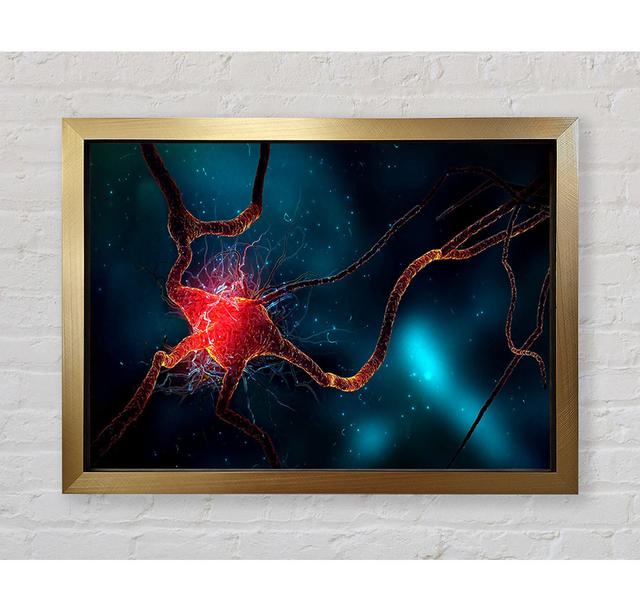 Neuron - Einzelner Bilderrahmen Kunstdrucke Bright Star Größe: 100 cm H x 141,4 cm B on Productcaster.