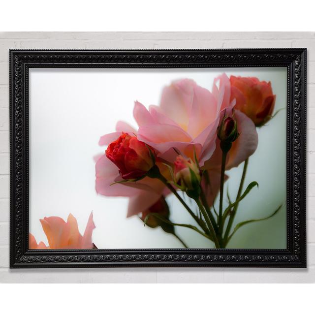 An Array Of Pink Flowers - Single Picture Frame Art Prints Brayden Studio Size: 84.1cm H x 118.9cm W on Productcaster.