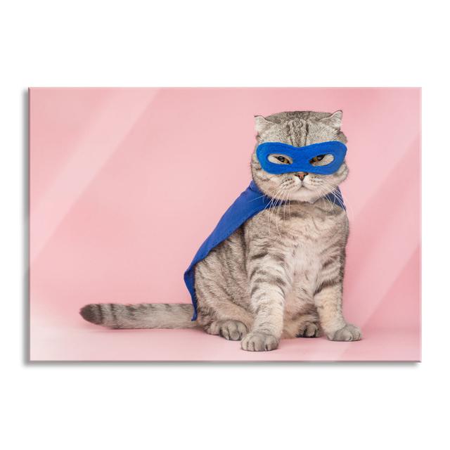 Cute Cat in a Superhero Costume - Unframed Photograph on Glass Happy Larry Size: 60cm H x 80cm W x 0.4cm D on Productcaster.