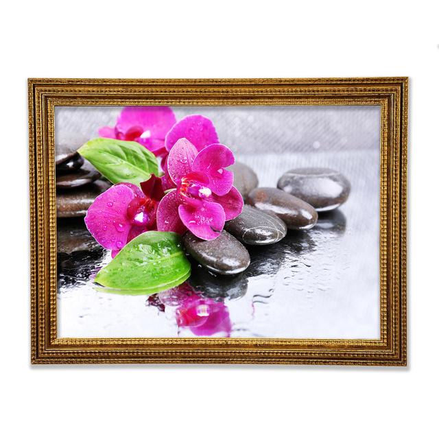 Orchids On The Wet Pebbles - Print Ebern Designs Size: 59.1cm H x 84.1cm W x 3cm D on Productcaster.