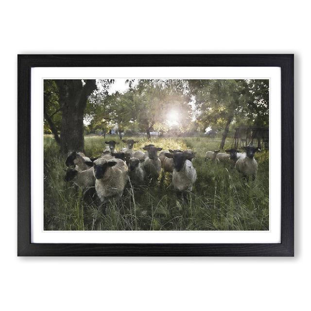 Flock of Sheep Vol.3 - Picture Frame Graphic Art on MDF East Urban Home Size: 36cm H x 48cm W x 2cm D, Frame Option: Black Framed on Productcaster.