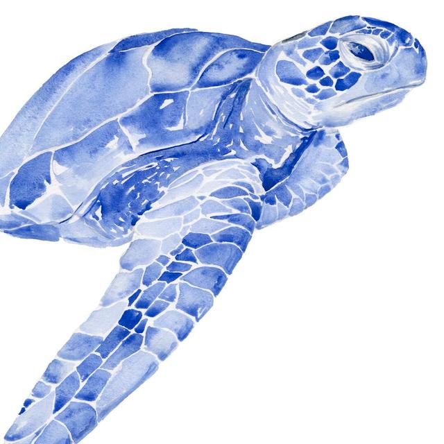 Ultramarine Sea Turtle II by Jennifer Paxton Parker - Wrapped Canvas Art Prints Bay Isle Home Size: 91cm H x 91cm W x 3.8cm D on Productcaster.