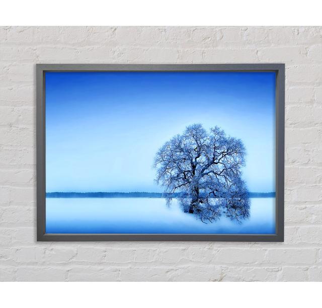 Blue Winter Tree - Single Picture Frame Art Prints on Canvas Bright Star Size: 59.7cm H x 84.1cm W x 3.3cm D on Productcaster.