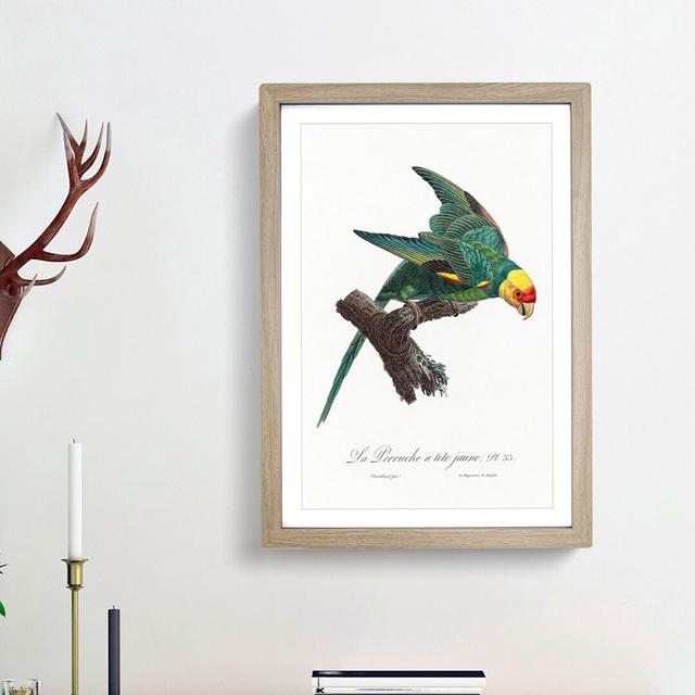 Yellow-Crowned Parakeet by F. Levaillant - Picture Frame Graphic Art Print East Urban Home Size: 48cm H x 36cm W x 2cm D, Frame Option: Oak Framed on Productcaster.