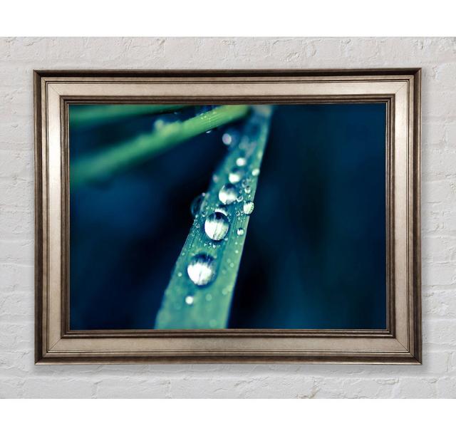 Single Picture Frame Art Prints Bright Star Size: 21cm H x 42cm W on Productcaster.