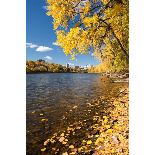 Autumn Colors Along The Mississippi River, Minnesota by 7Michael - Wrapped Canvas Print Alpen Home Size: 46cm H x 30cm W on Productcaster.