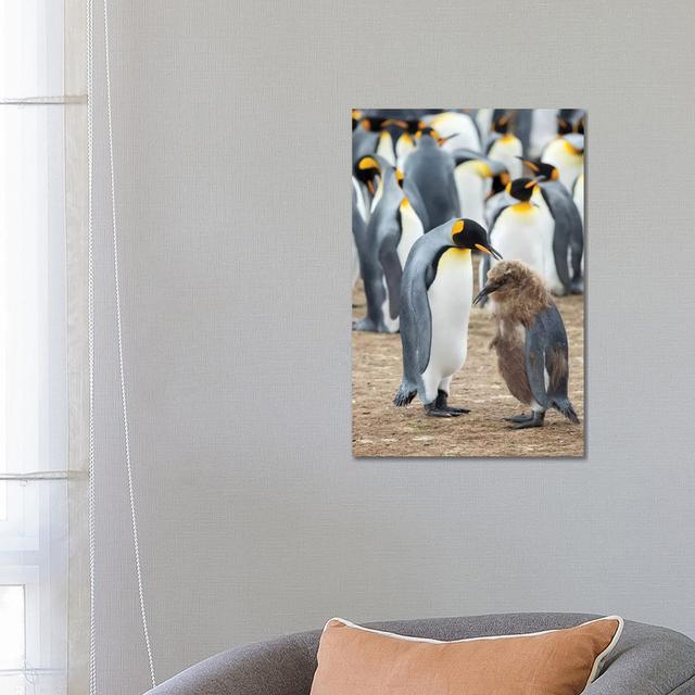 Feeding A Chick In Brown Plumage. King Penguin On Falkland Islands.-MZW188 House of Hampton Size: 66.04cm H x 45.72cm W x 3.81cm D on Productcaster.