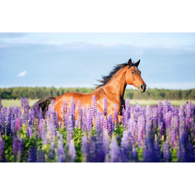 Horse Running by AsyaPozniak - Wrapped Canvas Print Brambly Cottage Size: 20cm H x 30cm W on Productcaster.