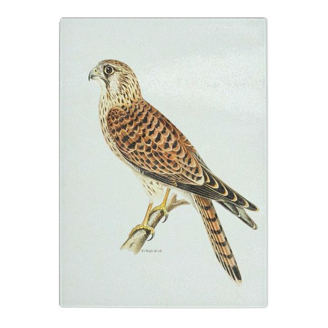 Tempered Glass a Common Kestrel by Von Wright Chopping Board East Urban Home Size: 39cm W x 28.5cm L on Productcaster.