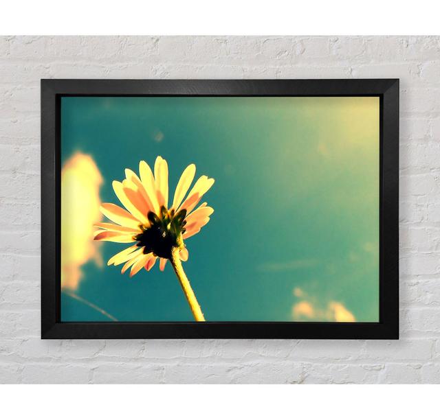 Summer Flower Retro Sunshine - Single Picture Frame Art Prints Bright Star Size: 59.1cm H x 84.1cm W x 3.4cm D on Productcaster.