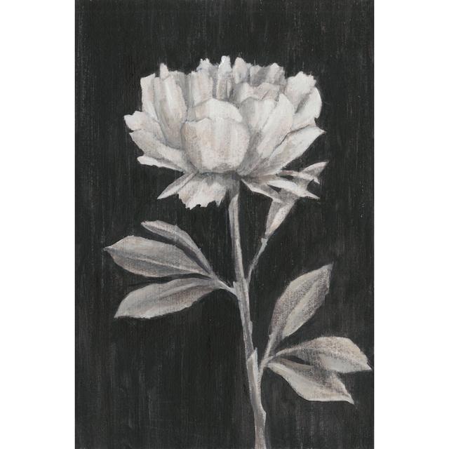 Black And White Flowers III by Ethan Harper - Wrapped Canvas Print Rosalind Wheeler Size: 46cm H x 30cm W on Productcaster.