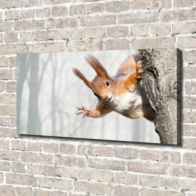 Squirrel - Print Ebern Designs Format: Canvas, Size: 70cm H x 140cm W x 2cm D on Productcaster.