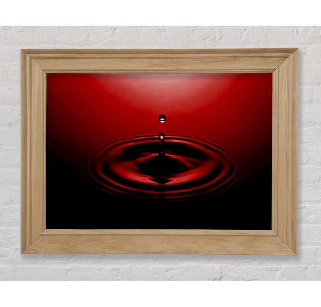 Water Droplet Red Framed Print Bright Star Size: 84.1cm H x 142.2cm W on Productcaster.