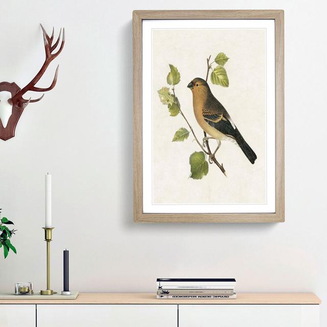 Eurasian Bullfinch by Von Wright - Picture Frame Painting Print East Urban Home Size: 87cm H x 62cm W x 2cm D, Frame Option: Oak Framed on Productcaster.