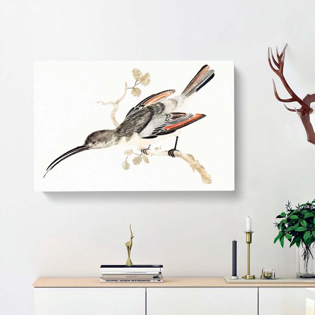 Hummingbird by Johan Teyler - Wrapped Canvas Painting Print East Urban Home Size: 35cm H x 50cm W x 3cm D on Productcaster.