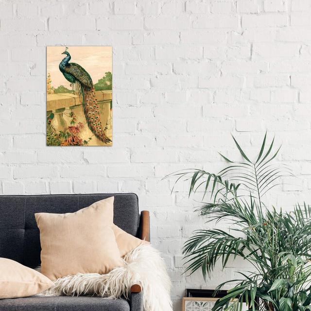 Peacock - Wrapped Canvas Print East Urban Home Size: 66.04cm H x 45.72cm W x 3.81cm D on Productcaster.