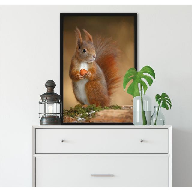 Gerahmtes Foto "Cheeky Squirrel with Nut" Alpen Home Größe: 80 cm H x 60 cm B x 2.5 cm T on Productcaster.