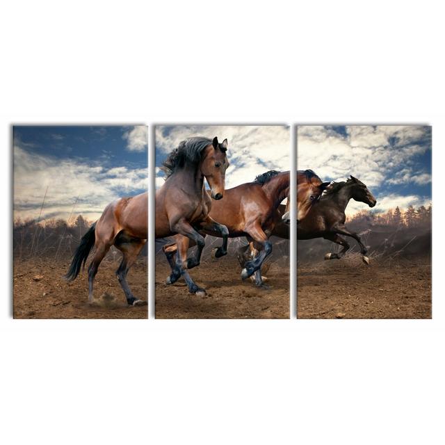 Wild Free Horses Framed Photograph Print - 3 Piece Wrapped Canvas Print East Urban Home Size: 100 cm H x 210 cm W on Productcaster.