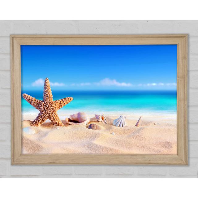 Shells In The Ocean Sands - Single Picture Frame Art Prints Highland Dunes Size: 84.1cm H x 118.9cm W x 1.5cm D on Productcaster.