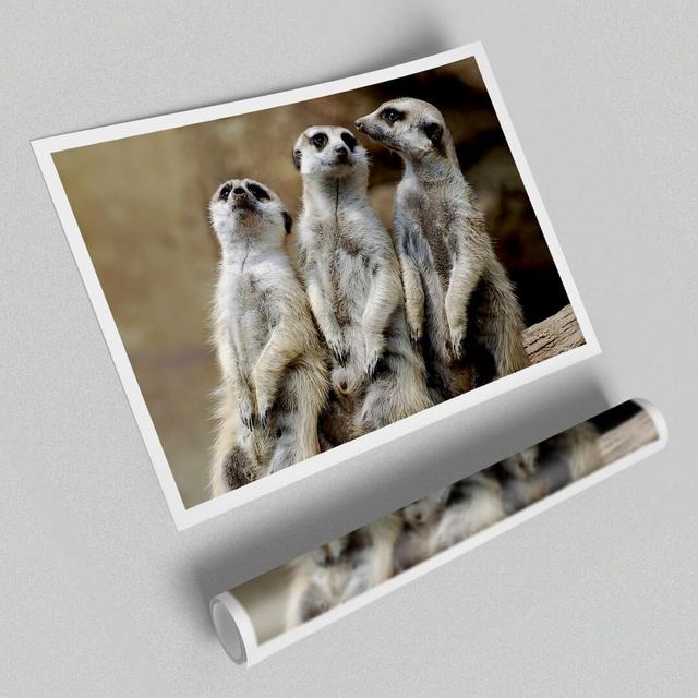 Trio of Leaning Meerkats - Photograph Print on Paper East Urban Home Size: 100cm H x 141.4cm W on Productcaster.