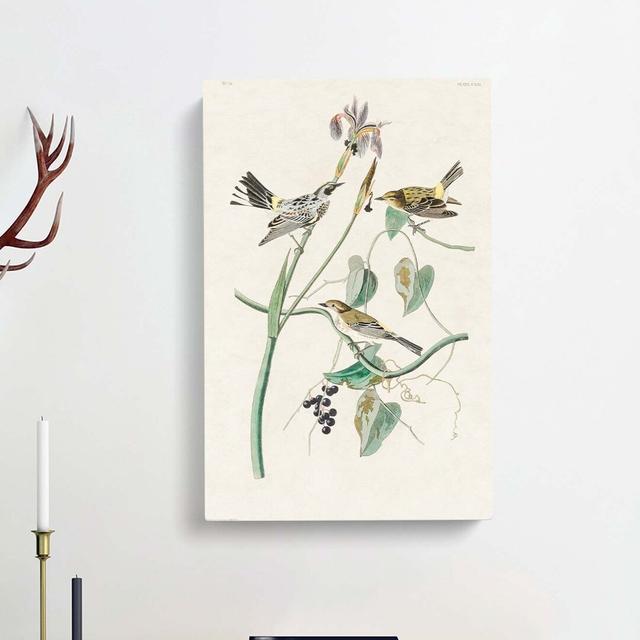 Yellow-Crown Warbler Birds by John Audubon - Wrapped Canvas Painting Print East Urban Home Size: 76cm H x 50cm W x 3cm D on Productcaster.