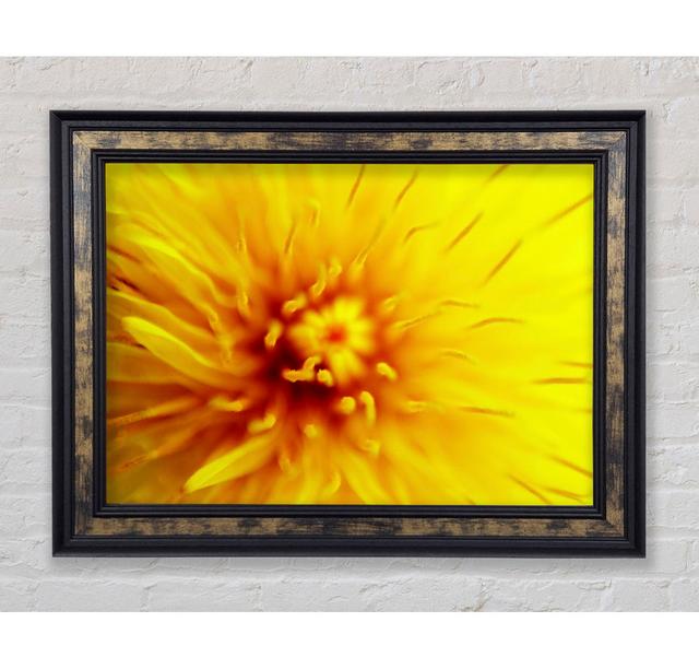 Yellow Beauty - Single Picture Frame Print Brayden Studio Size: 21cm H x 29.7cm W x 8cm D, Format: Antique Gold Framed Paper on Productcaster.