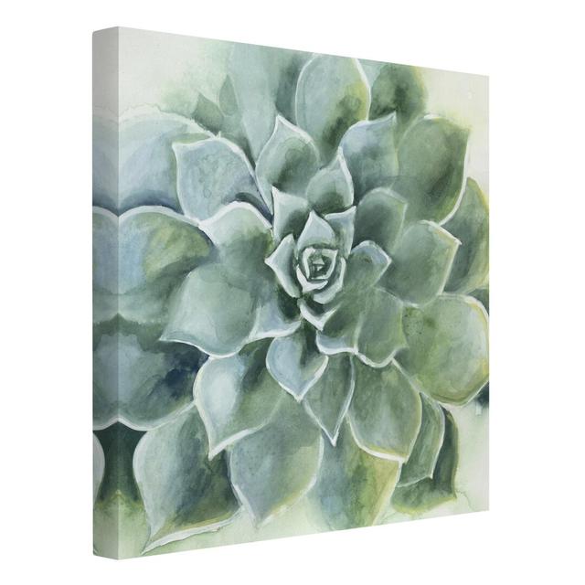 Succulent watercolor dark - Wrapped Canvas Graphic Art Bloomsbury Market Size: 80cm H x 80cm W, Format: 330gsm recycled canvas on Productcaster.