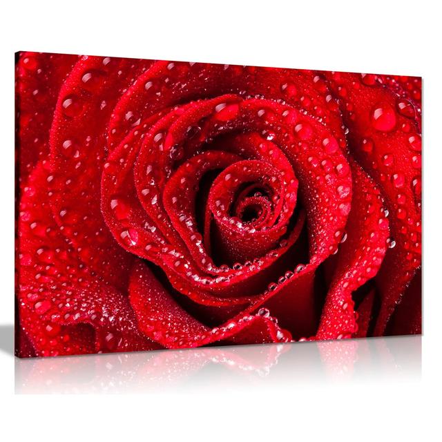 Dew Water Drops - Wrapped Canvas Photograph Ebern Designs Size: 61cm H x 91cm W on Productcaster.