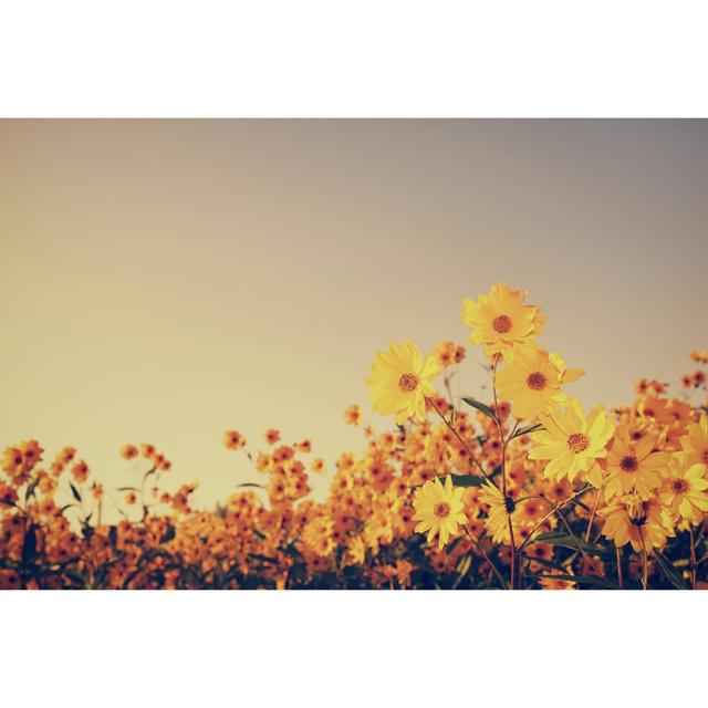 Vintage Flowers In Sunset by Bgfoto - No Frame Art Prints on Canvas Wall Art Production Network Size: 30cm H x 46cm W on Productcaster.