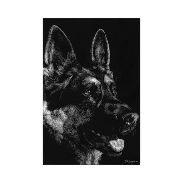 Canine Scratchboard I by Julie T. Chapman - Wrapped Canvas Graphic Art Latitude Run Size: 101.6cm H x 66.04cm W x 1.905cm D on Productcaster.