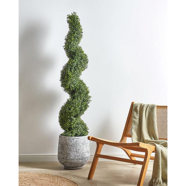 Faux Tree in Plastic / Acrylic Planter The Seasonal Aisle Size: 158cm H x 30cm W x 30cm D on Productcaster.