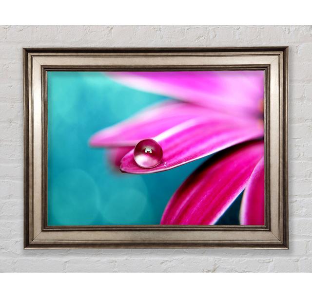 Single Picture Frame Art Prints Bright Star Size: 21cm H x 42cm W on Productcaster.