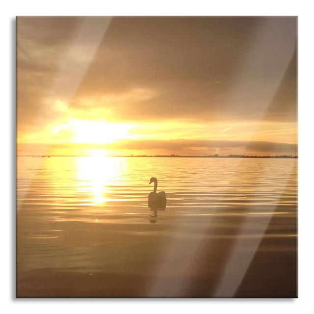 Lonely Swan On Lake - No Frame Print on Glass 17 Stories Size: 70cm H x 70cm W x 0.4cm D on Productcaster.