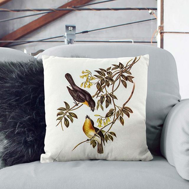 Broad-Billed Flycatchers by Elizabeth Gould Cushion with Filling East Urban Home Size: 55cm H x 55cm W x 20cm D on Productcaster.