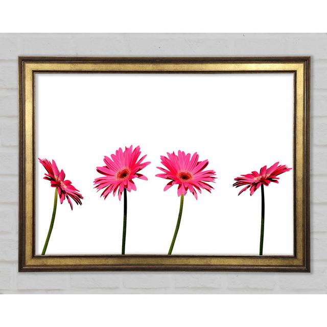 Pink Gerbera Quads - Single Picture Frame Print Brayden Studio Size: 84.1cm H x 118.9cm W x 1.5cm D, Format: Gold Framed Paper on Productcaster.