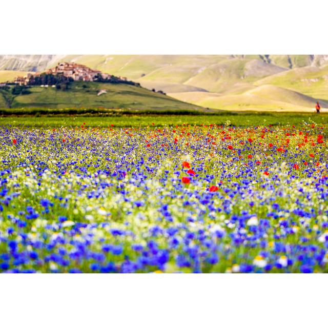 Castelluccio Di Norcia by Francesco Ricca Iacomino - Wrapped Canvas Photograph Alpen Home Size: 61cm H x 91cm W on Productcaster.