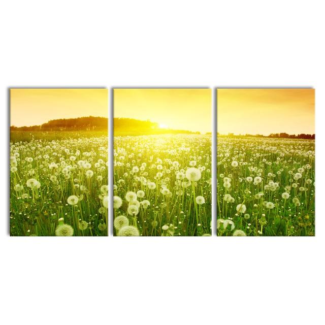 Dandelions At Sunset - 3 Piece Wrapped Canvas Print East Urban Home Size: 120cm H x 240cm W on Productcaster.