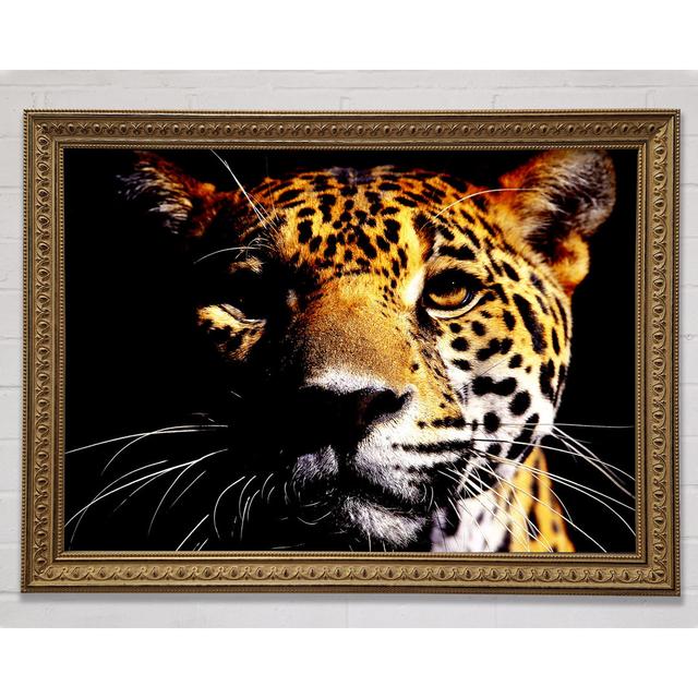 Leopard Pray - Single Picture Frame Art Prints Ebern Designs Size: 100cm H x 141.4cm W on Productcaster.