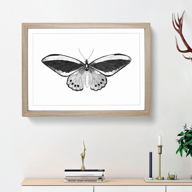 Papilio Butterfly in Black & White by George Shaw - Picture Frame Painting Print on MDF East Urban Home Frame Option: Oak Framed, Size: 36cm H x 48cm on Productcaster.