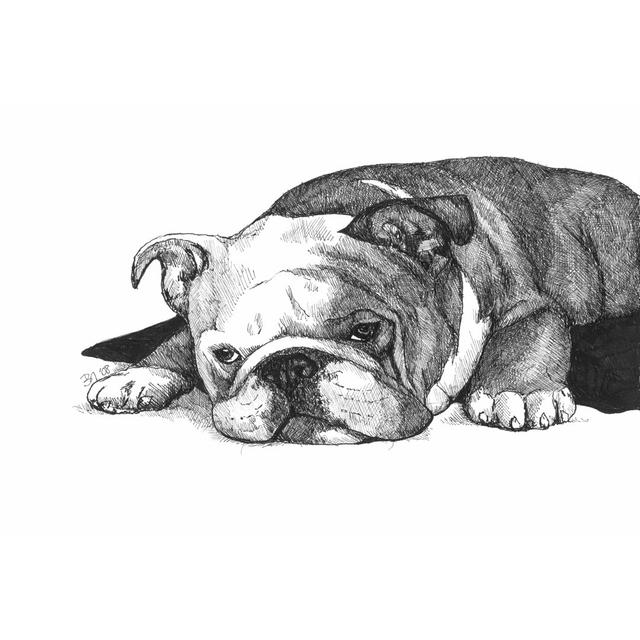 Gracie the Bulldog - Wrapped Canvas Art Prints Rosalind Wheeler Size: 51cm H x 76cm W on Productcaster.