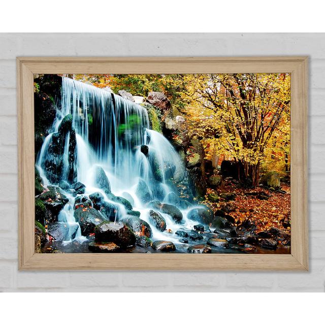 The Waterfalls Autumn Forest - Single Picture Frame Art Prints Union Rustic Size: 21cm H x 29.7cm W x 1.5cm D, Format: Natural Framed Paper on Productcaster.