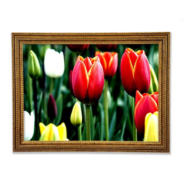 Single Picture Frame Art Prints Ebern Designs Size: 42.1cm H x 59.7cm W on Productcaster.