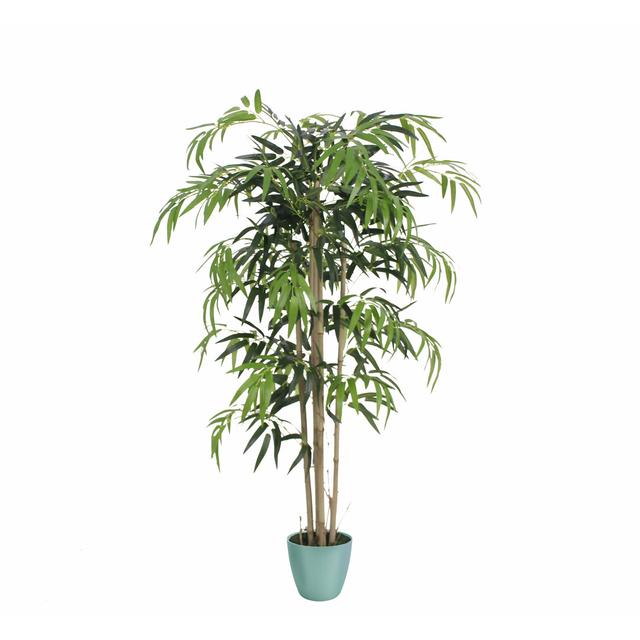 Faux Bamboo Plant in Planter The Seasonal Aisle Size: 120cm H x 75cm W x 20cm D, Base Colour: Green on Productcaster.