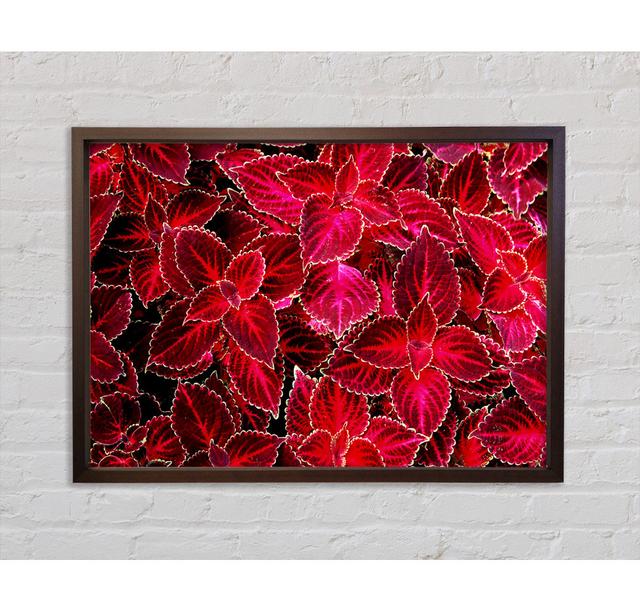 Deep Autumn Leaves - Single Picture Frame Art Prints on Canvas Bright Star Size: 59.7cm H x 84.1cm W x 3.3cm D on Productcaster.