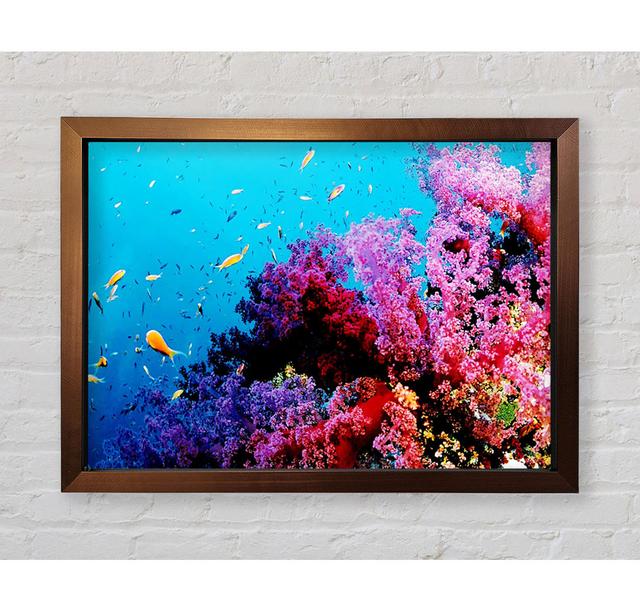 Magical Coral Ocean Framed Print House of Hampton Size: 100cm H x 141.4cm W x 3.4cm D on Productcaster.