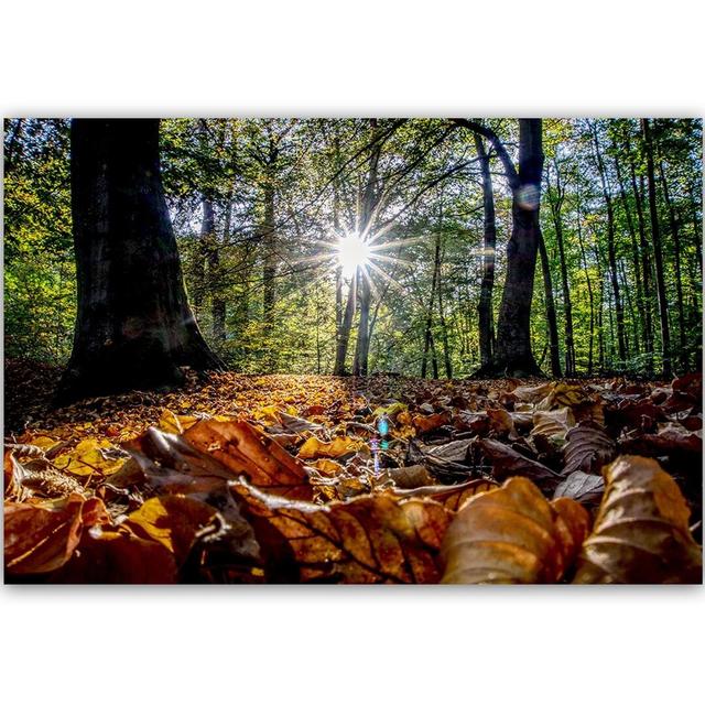 'Autumn Leaves in the Sun' - Wrapped Canvas Photograph Print Alpen Home Size: 80cm H x 120cm W on Productcaster.